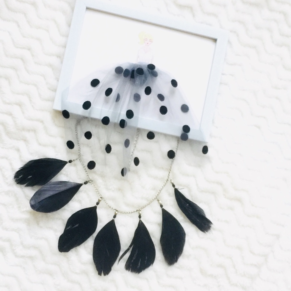 ✔️Fashion Feather Black Necklace
